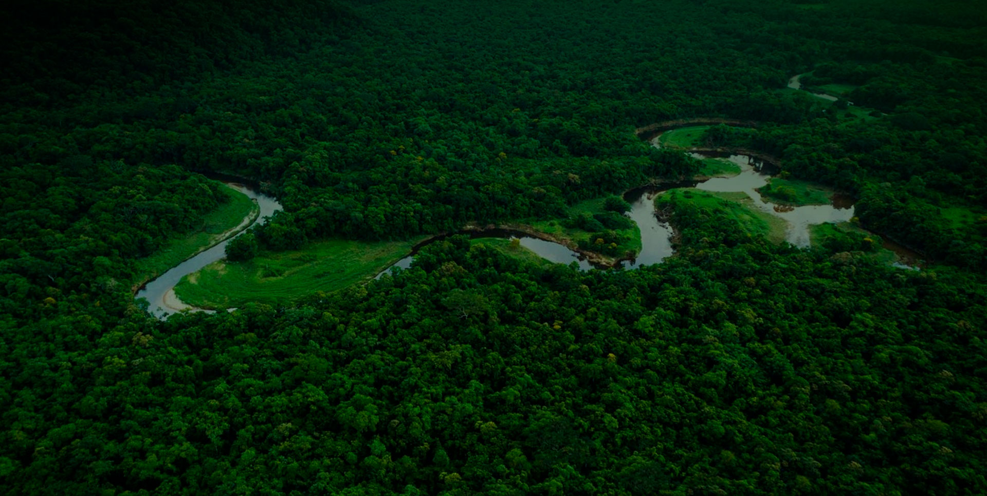 Amazon Rain Forrest - Brazil Private Tour