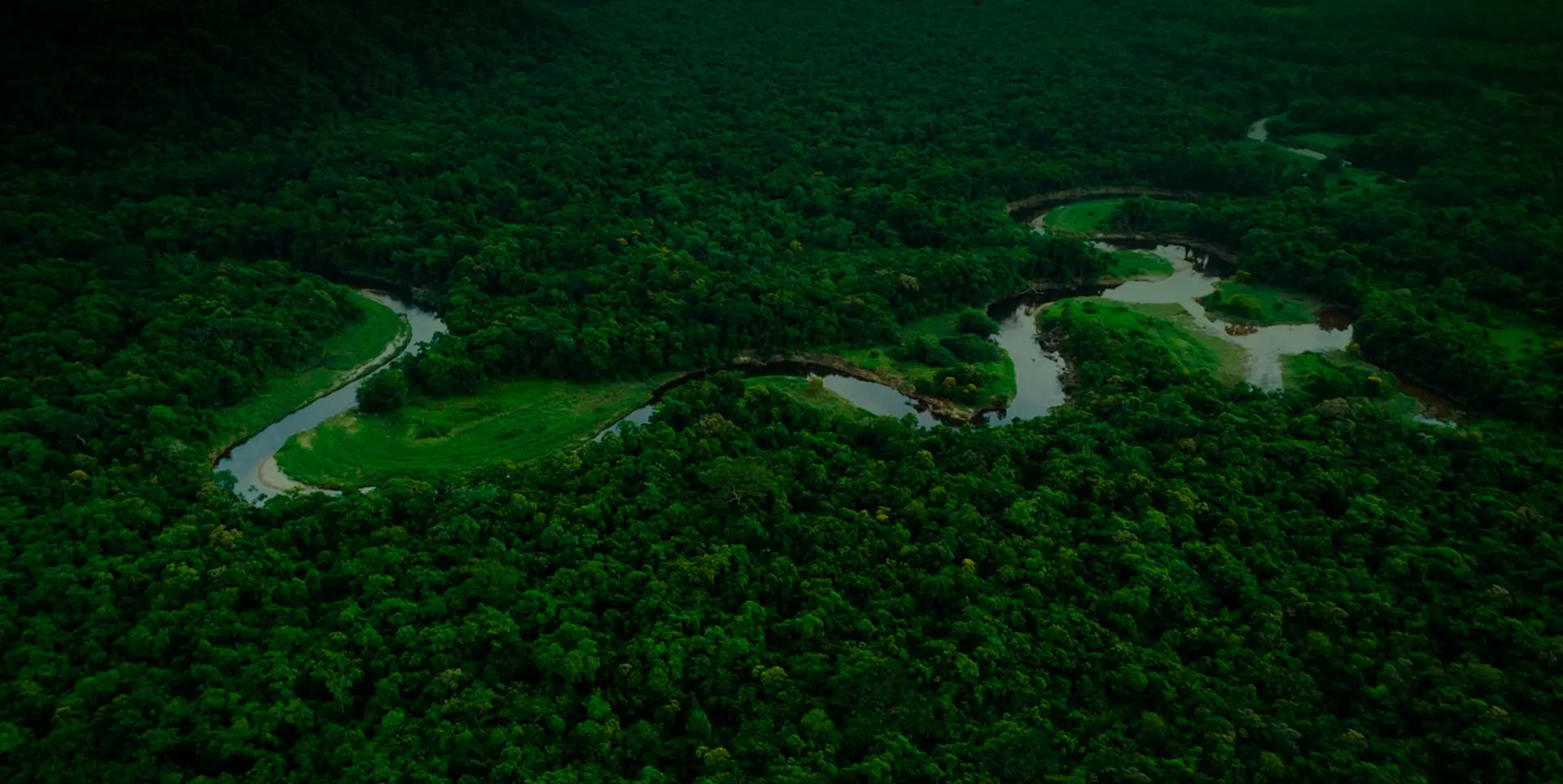 Amazon Rain Forrest - Brazil Private Tour