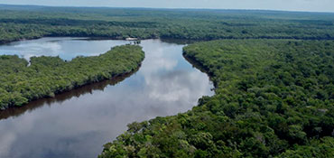 Amazon Private Tours & Expeditions