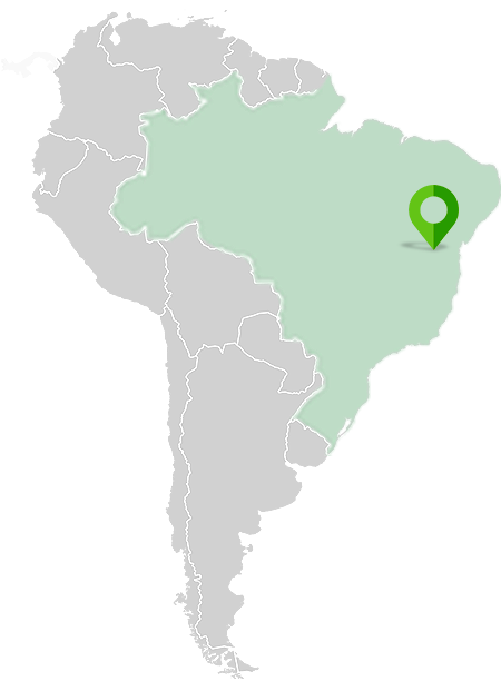 Northeast Brazil