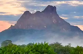 Private Tour - Expedition to Pico da Neblina