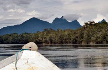Private Tour - Discover the upper reaches of the Rio Negro