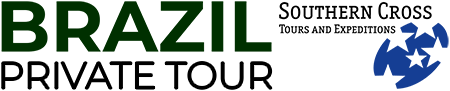 Brazil Private Tour Logo